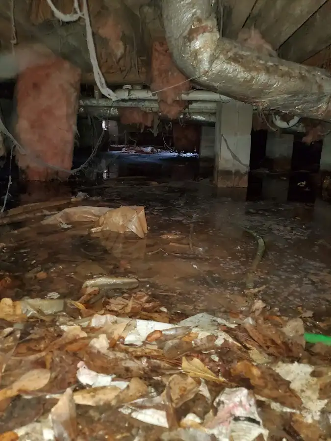 Crawl space flood assessment for Leak Detection & Repair in Pontiac